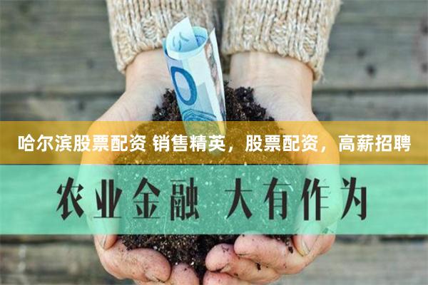 哈尔滨股票配资 销售精英，股票配资，高薪招聘