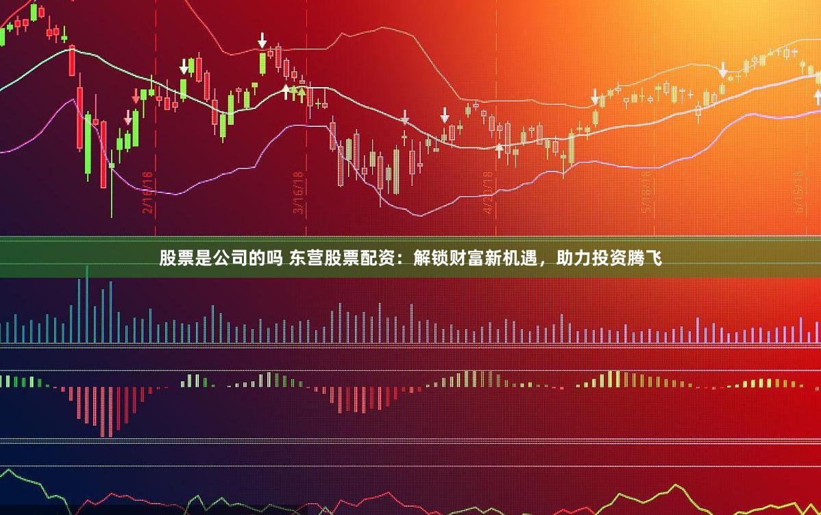 股票是公司的吗 东营股票配资：解锁财富新机遇，助力投资腾飞